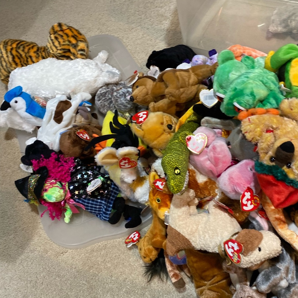 Ty Multicolor Stuffed Animal Collection - Picture 4 of 9